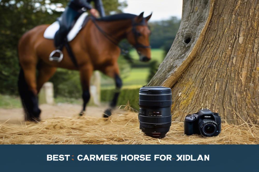 best-cameras-for-horse-riding